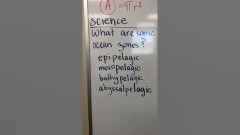 Classical Conversations cycle one  week 19 science memory work