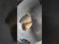 ମାଛ ମୁଣ୍ଡ ଆମୁଲ ବେସର#short#video#manorama #village#cooking