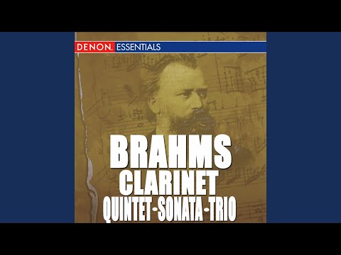Quintet for Clarinet and String Quartet in B Minor, Op. 115: IV. Con moto