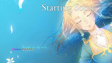 the breath just got wilder - BOTW with mods! Part 10