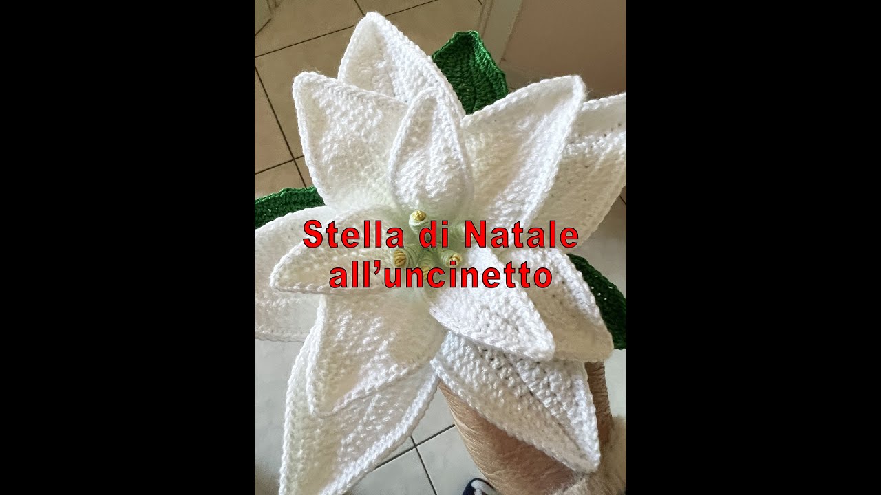 stella di natale all uncinetto