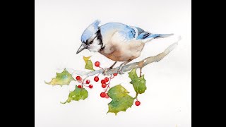Learn to Draw and Paint a Bluejay and Holly in Watercolor.