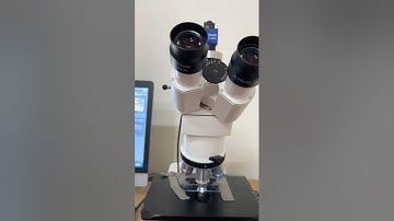 Visualisation of mushroom under microscope #microbiology