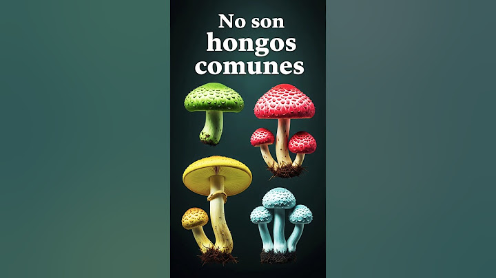 🌱 Estos Hongos Tienen Algo Que Los Hace Únicos
