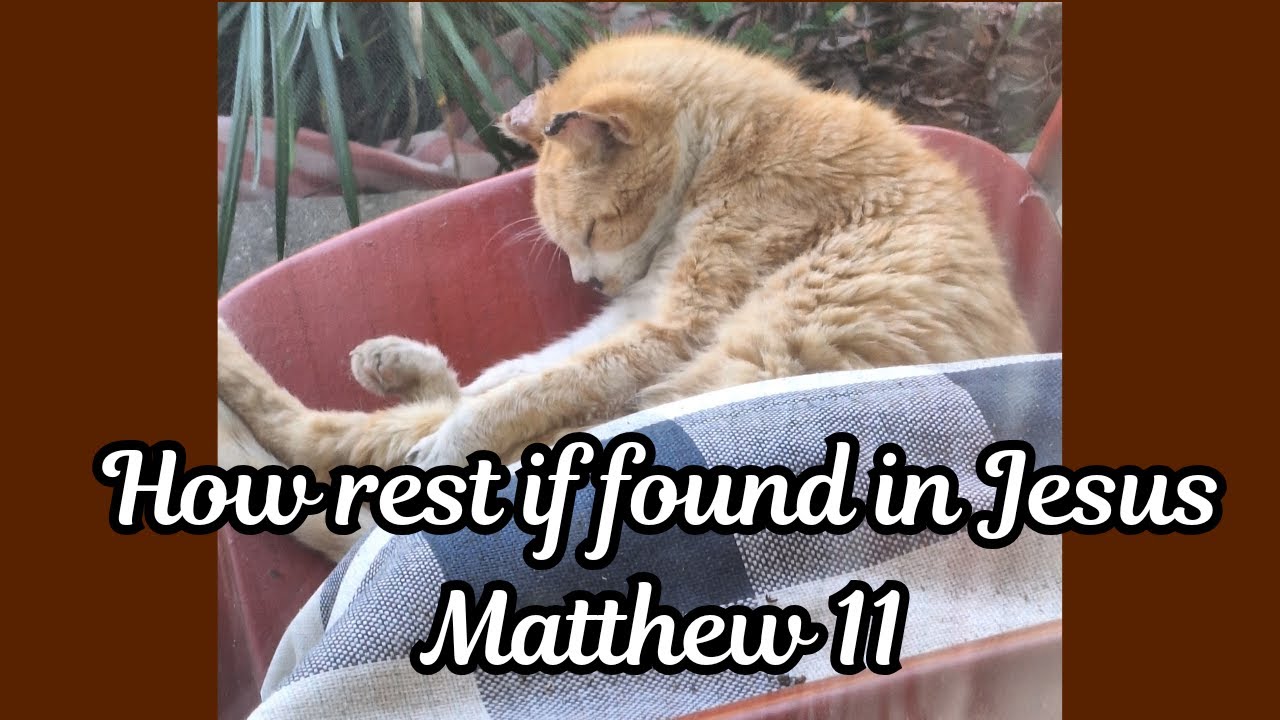 Как обрести покой в ​​Иисусе | Пастор Джейсон Джонс | Inspired Outdoors