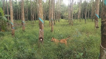 Ngày đi làm gặp toàn rắn độc