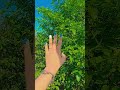 #shortvideo