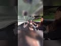 ギアチェンジ気合い入りすぎてすげえ顔になる女