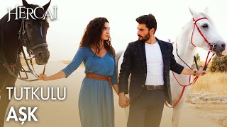 Tutkulu aşk🖤 - Hercai Efsane Sahneler