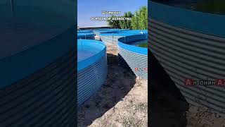 осетровое хозяйство в 10 км от Шымкента