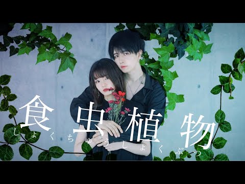 【オリジナル振り付け】食虫植物　踊ってみた　4K【ぶきてろ】