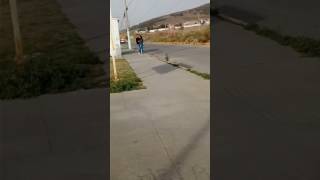 Así está la onda en napateco
