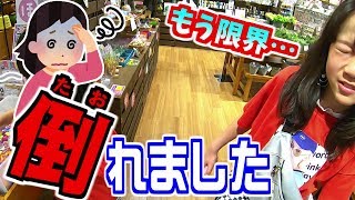 【ごめんね気づいてあげられなくて】撮影中断…しほ体力の限界…疲労・病気【しほりみチャンネル】