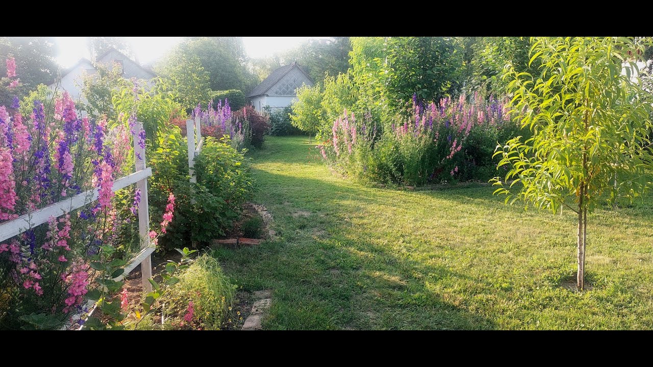 2025 június, kerti séta🏡👩‍🌾