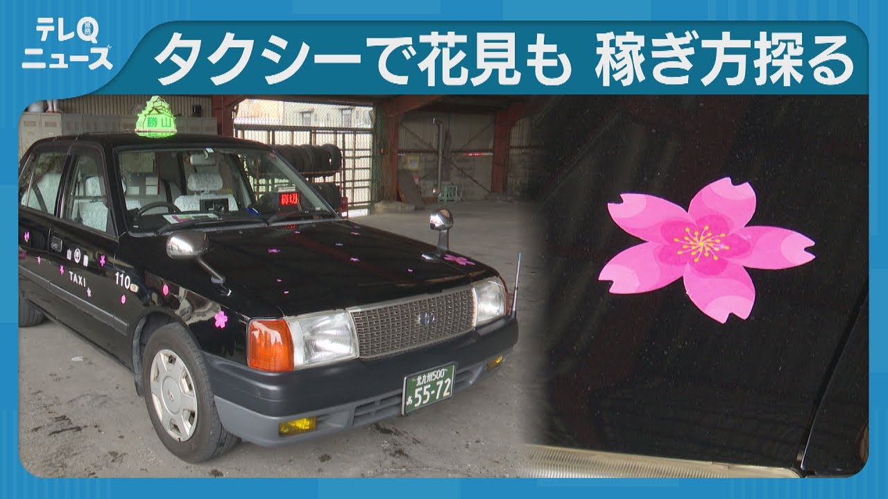 Cherry blossom viewing and a way to make money: Taxi drivers are