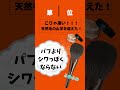 【プロが選ぶ】最新プチプラ筆ランキング　#shorts #ブラシ #メイクブラシ