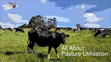 All About Pasture Utilisation