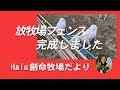 放牧場フェンス完成しました　Halu創命牧場だより Vol.10