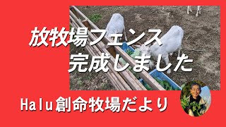 放牧場フェンス完成しました　Halu創命牧場だより Vol.10