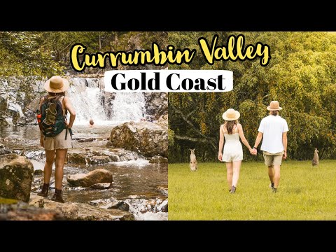 Exploring Gold Coast's Currumbin Valley! Queensland Travel Vlog
