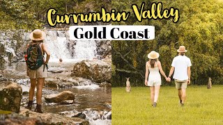 Exploring Gold Coast's Currumbin Valley! Queensland Travel Vlog