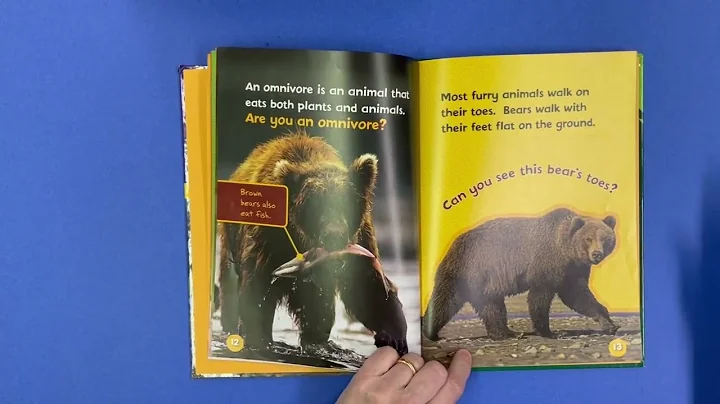 Lets Look at Brown Bears  by Ruth Bergman