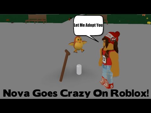 Nova Goes Crazy On A Roblox Game Youtube - ttt roblox gameplay youtube