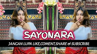 Disco Latin  Sayonara   Januard Mgl   Dj Remix 