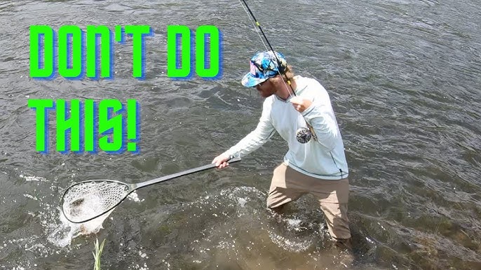 How to Fly Fish - Netting Fish - A Beginners Guide 