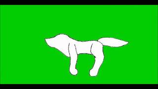 wolf running sequence test