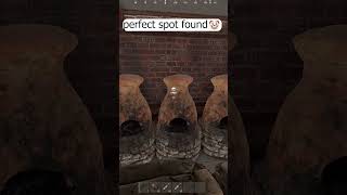 most wonderful place for a home in Rust 💩 #rust #rustfails
