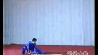basic gunshu 3