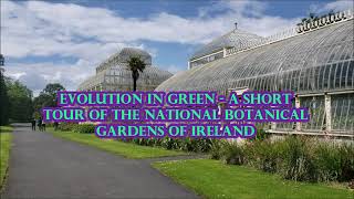 Exploring Evolution in Green - A Short Tour of the National Botanic Gardens of Ireland by Muon Ray 264 views 1 year ago 11 minutes, 43 seconds