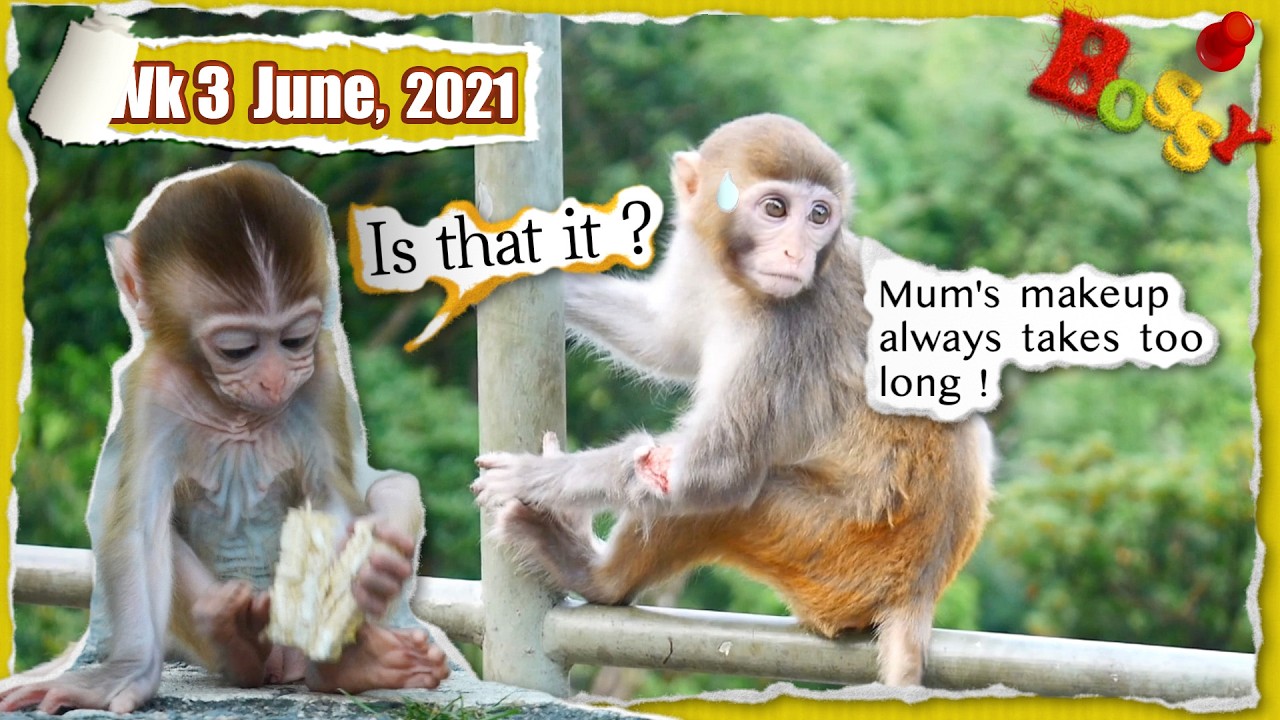 38 Too late, nothing's left 🥺