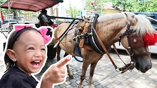 Naik Delman Istimewa ❤ Lagu Anak Populer
