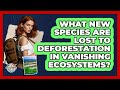 What New Species Are Lost To Deforestation In Vanishing Ecosystems? - The Geography Atlas