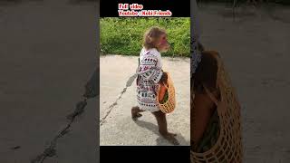 Kobi is as good as an adult, going to the market to buy things himself