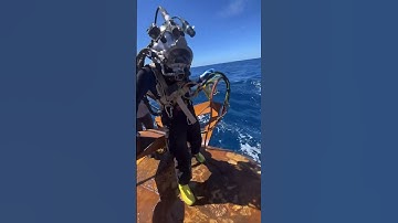 Commercial Diving at its Finest 🤩 #shorts