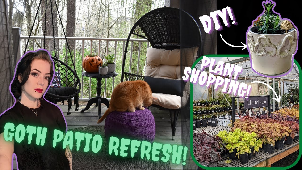 Обновление готического патио! 🕸️🥀🌿 Ищу чёрные растения и горшки для самостоятельного изготовления!