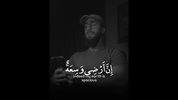 سورة العنكبوت قارئ محمد ديبيروف
