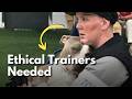 The Impact Dog Trainers Can Make in Service Dog Work
