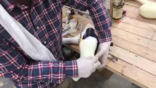 Forelimb Prosthetic Casting Demo