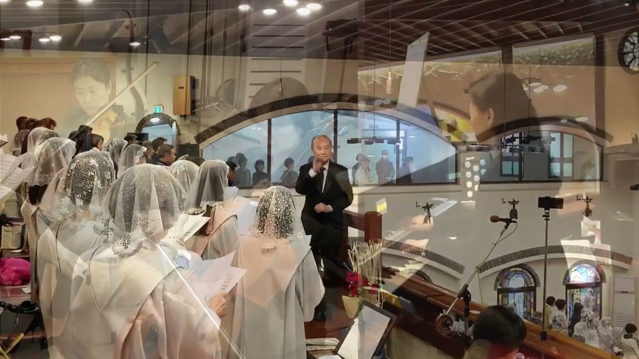 Kyrie 키리에 하이든 브레비스 미사곡Missa brevis No7 수성성당Gaudium et Spes성가대 지휘 김양수, Vn 김수지 Vc 김문영 Org 이현지