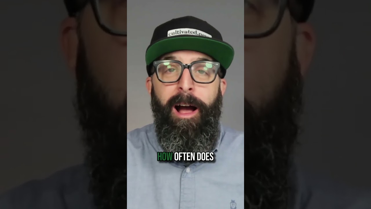 NYT Reporting on Cannabis Industry Issues: What’s Next? 🌿💥