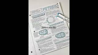How to make your notes more aesthetic 🤍 #shorts #short #study #studytips #aesthetic #ytshorts #fypシ