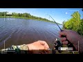 Рыбалка с первой бровки канала имени Москвы на спиннинг