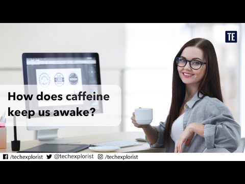 How does caffeine keep us awake?