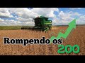 Iniciada A Colheita Primeiras Impressões Da Soja 2026