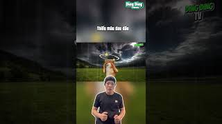 Bước tới đèo Ngang #dingdingmemes