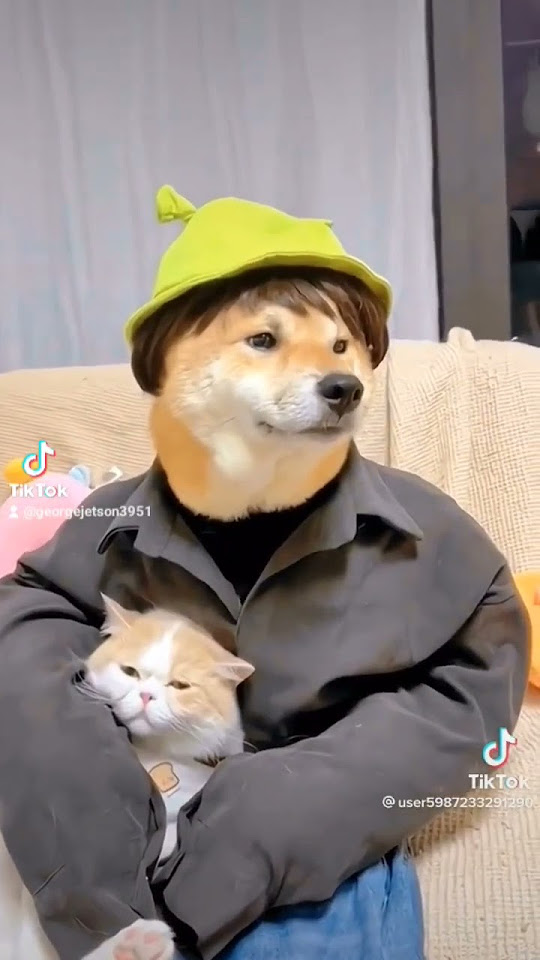 EVERYBODY MAKES A TIK TOK YouTube everybody-makes-a-tik-tok-youtube